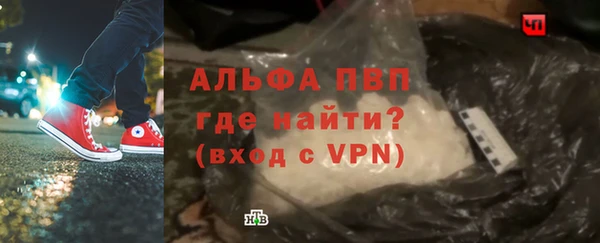 эйфоретик Белокуриха
