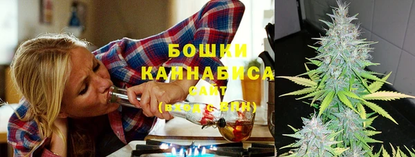 эйфоретик Белокуриха